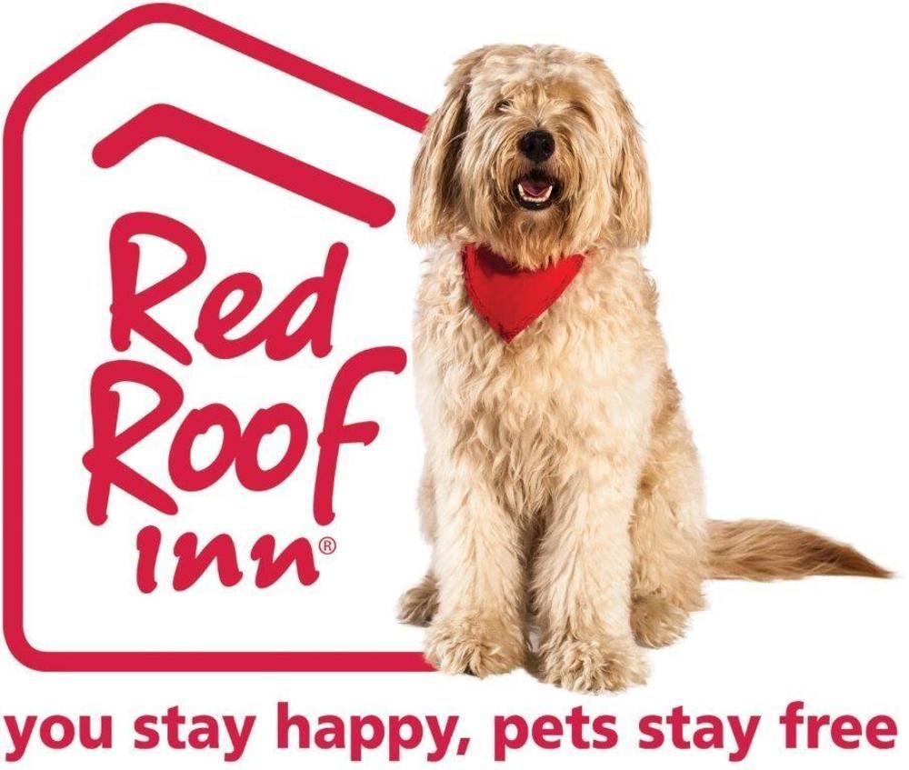 Econo Lodge Laredo Ngoại thất bức ảnh